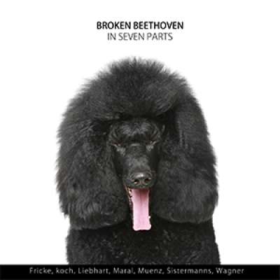 Broken Beethoven in Seven Parts