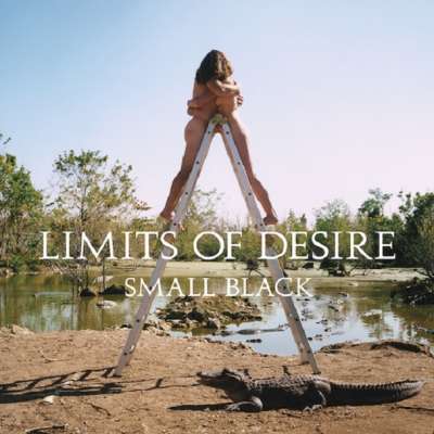 Limits Of Desire
