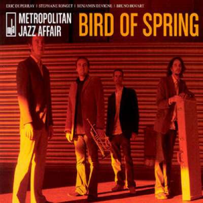 Bird Of Spring