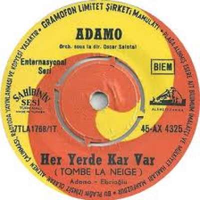 Her Yerde Kar Var
