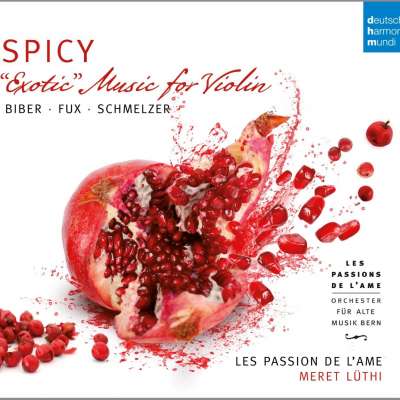 Spicy Exotic Music for Violin