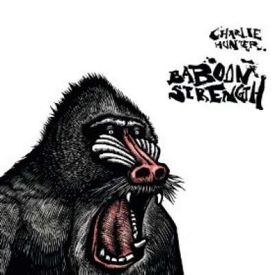 Baboon Strength