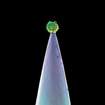 New Blood (Special Edition), Peter Gabriel