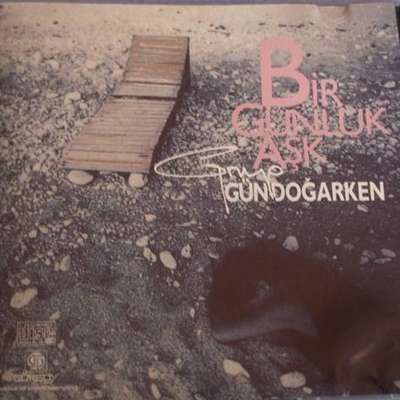 Bir Günlük Aşk