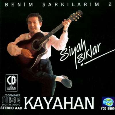 Seni Seviyorum