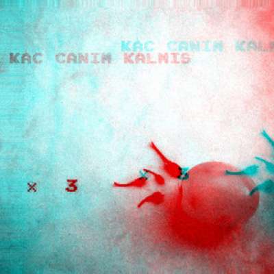 Kaç Canım Kalmış