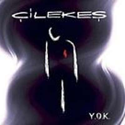 Y.O.K.