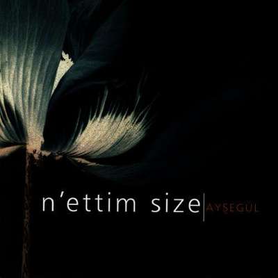 N'ettim Size