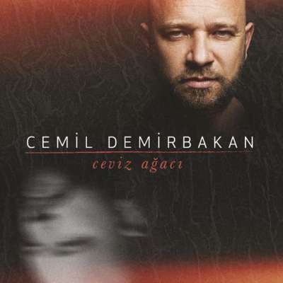 Ceviz Ağacı