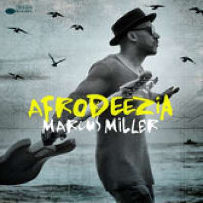 Afrodeezia