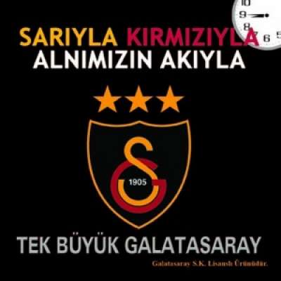Tek Büyük Galatasaray