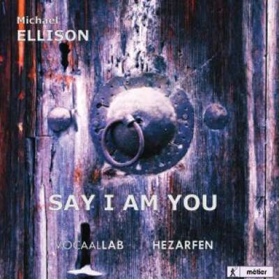 Say I Am You