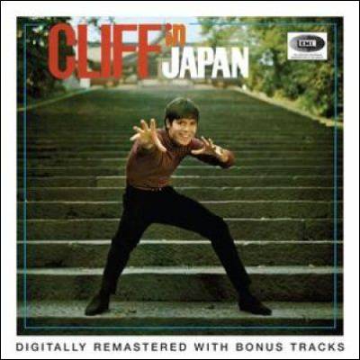 Cliff In Japan