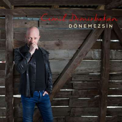 Dönemezsin