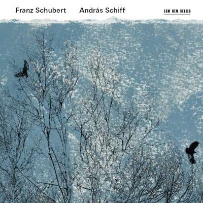 F. Schubert: Allegretto In C Minor, D 915