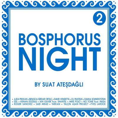 Bosphorus Night 2  
