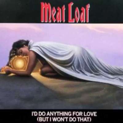 I'd Do Anything For Love (But I Won't Do That)