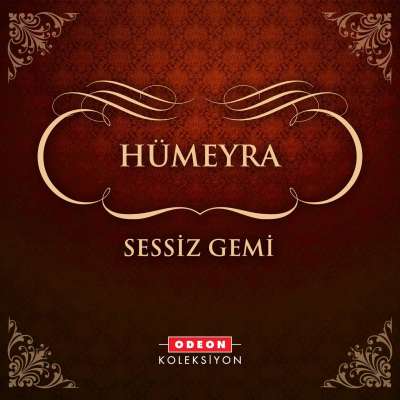 Sessiz Gemi