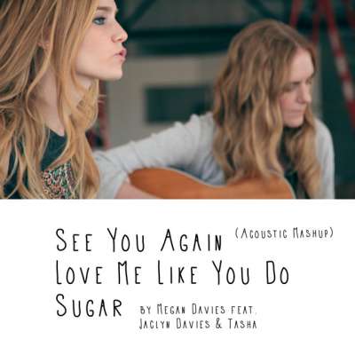 See You Again / Love Me Like You Do / Sugar (Acoustic Mashup)