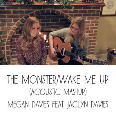 The Monster / Wake Me Up (Acoustic Mashup)