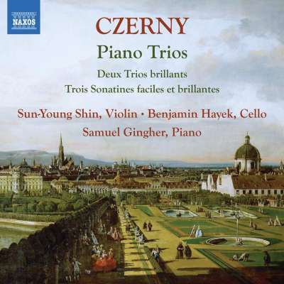 Trio brillant in A Major for Violin, Cello and Piano, Op. 211 No. 2, 2. Andante allegretto - Sun-Young Shin, Benjamin Hayek, Samuel Gingher
