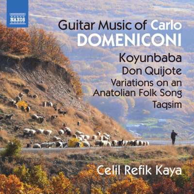 Domeniconi: Guitar Music