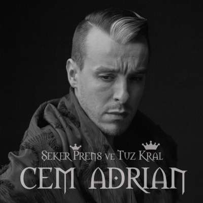 Ben Seni Çok Sevdim