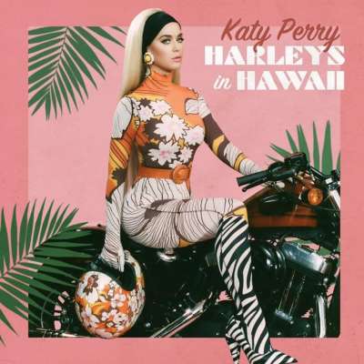 Harleys In Hawaii