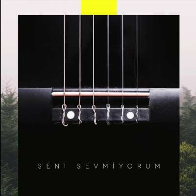 Seni Sevmiyorum