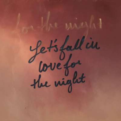Let's Fall In Love For The Night