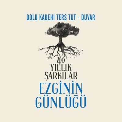 Duvar