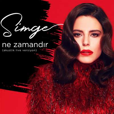 Ne Zamandır (Akustik Live Versiyon)