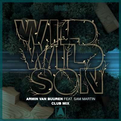 Wild Wild Son (Club Mix)
