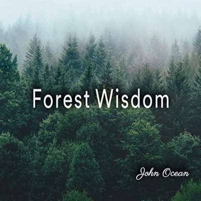 Forest Wisdom