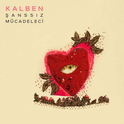 Şanssız Mücadeleci