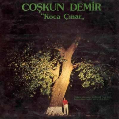 Koca Çınar