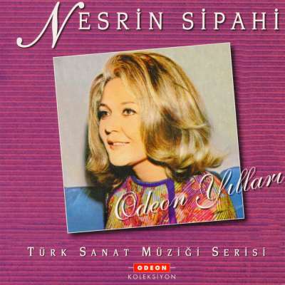 Bir Bahar Akşamı Rastladım Size