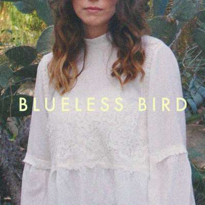 Blueless Bird