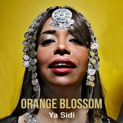 Orange Blossom