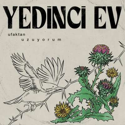 Yedinci Ev