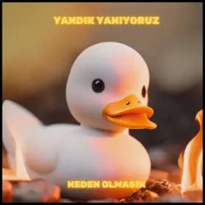 Yandık Yanıyoruz