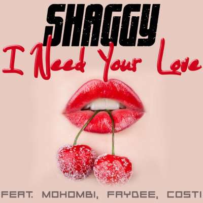 I Need Your Love (feat. Mohombi, Faydee