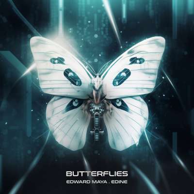 Butterflies 