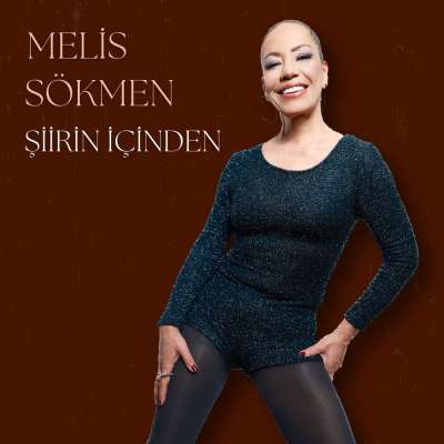 Şiirin İçinden
