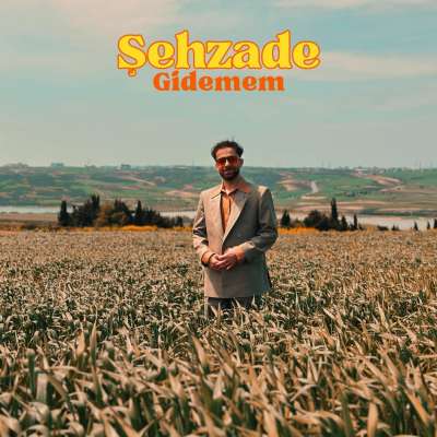 Gidemem