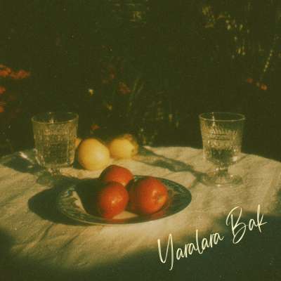 Yaralara Bak