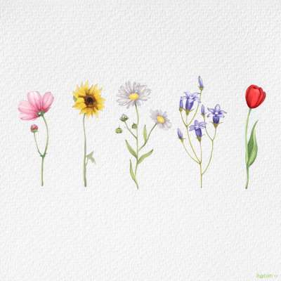 wildflower