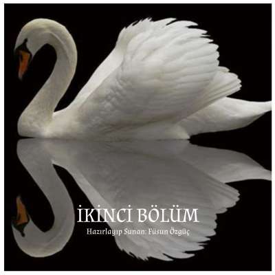 İkinci Bölüm