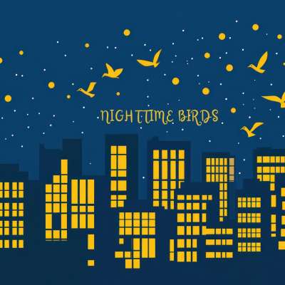 Nighttime Birds