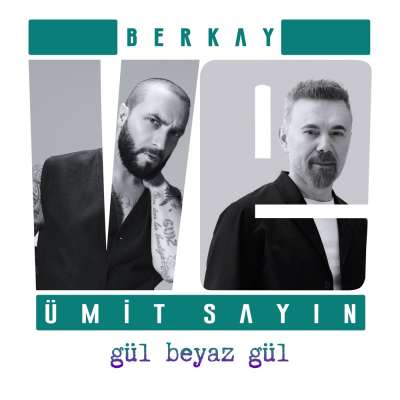 Gül Beyaz Gül